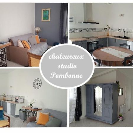 Chaleureux Studio A Pombonne Bergerac Eksteriør billede